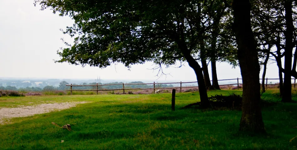 Vacatures in Mook en Middelaar