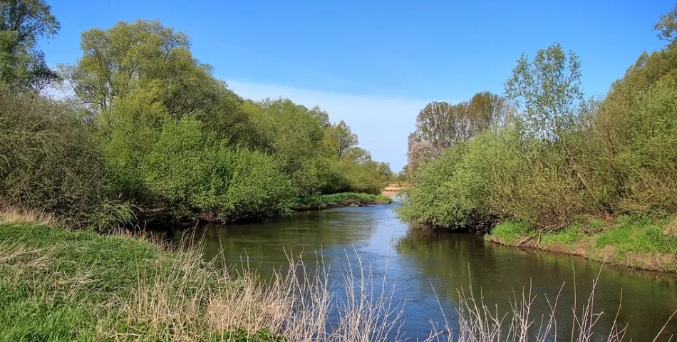 Vacatures in Herkenbosch