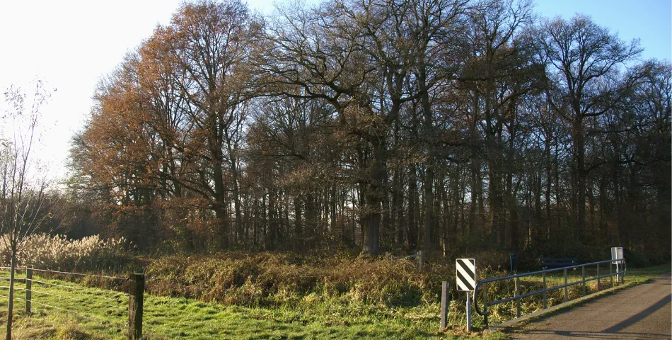 Vacatures in Oostrum