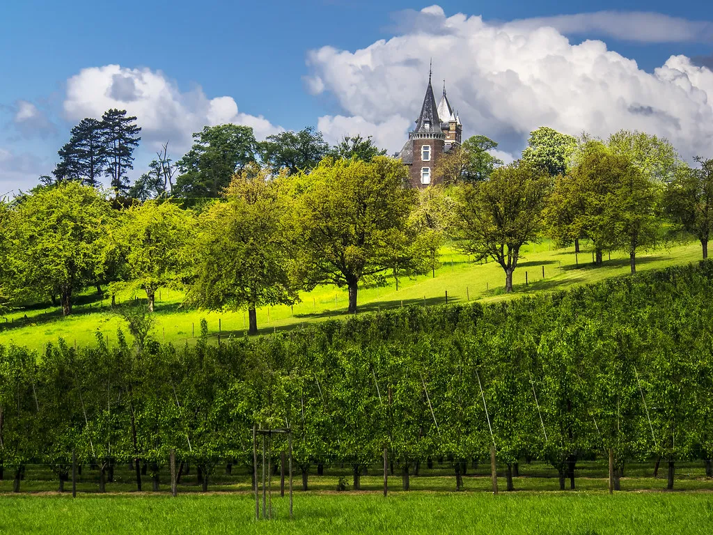 vacatures in hulsberg