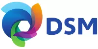 DSM Nederland