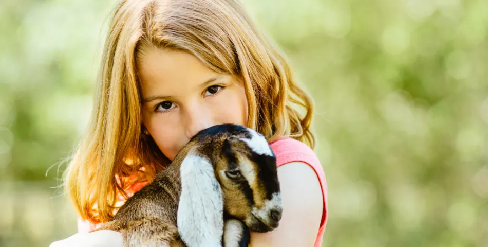 Zorgboerderij vacatures in Limburg