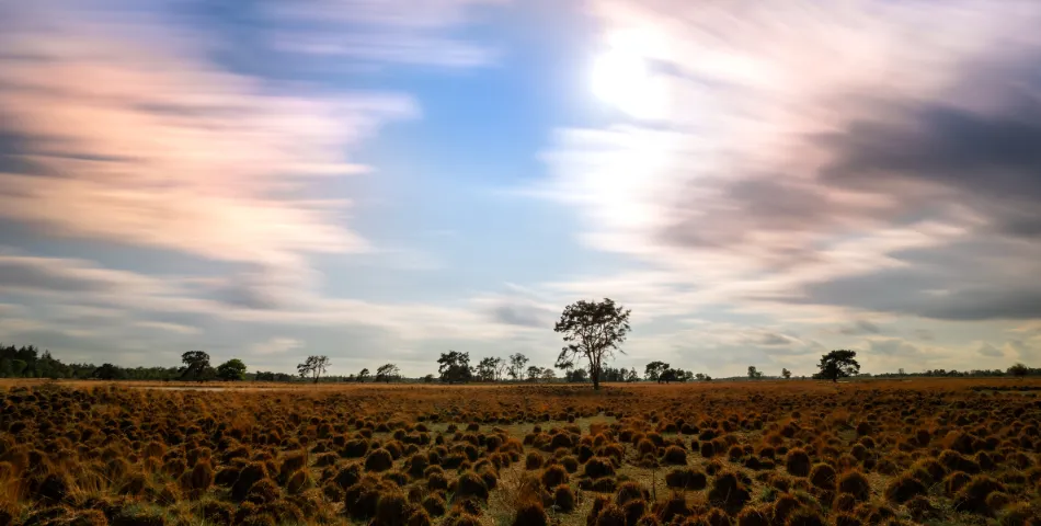 vacatures in Roerdalen