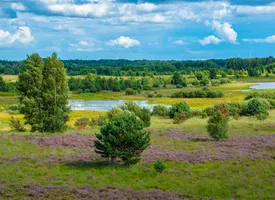 Vacatures in noord limburg