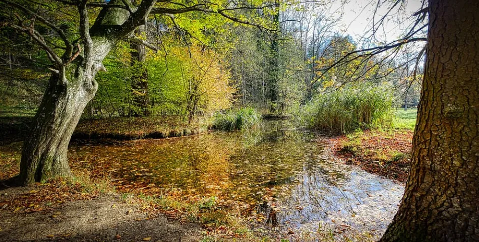 Vacatures in Vlodrop