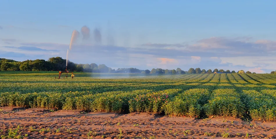 Parttime vacatures in Noord-Limburg