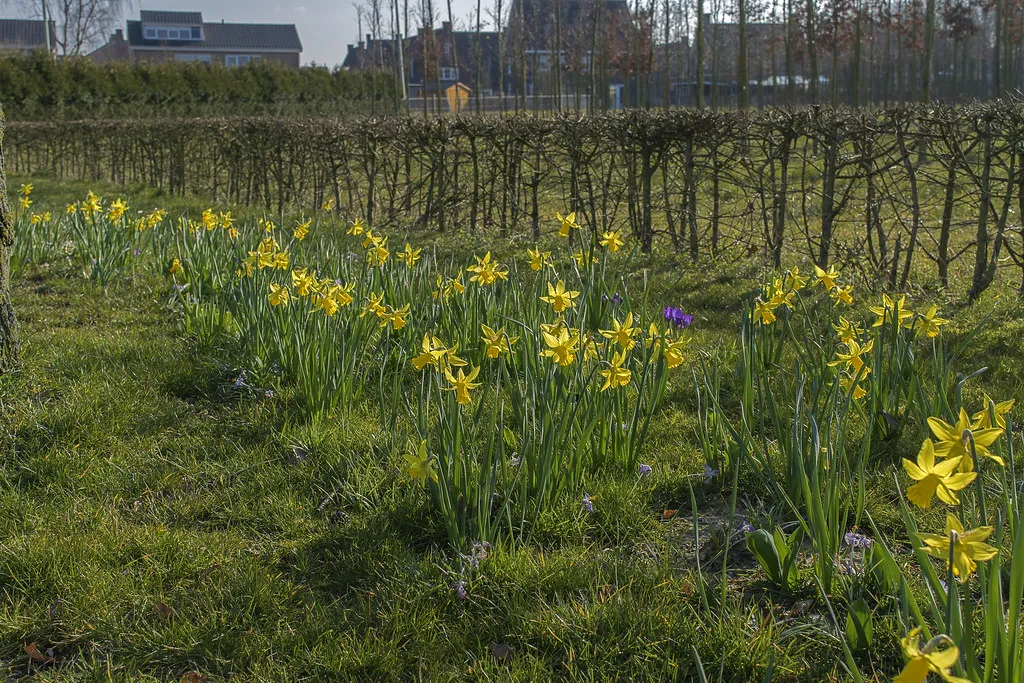 Nieuwe vacatures in Meerlo