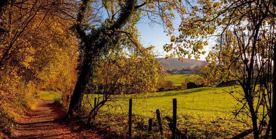 Vacatures in Gemeente Gulpen-Wittem