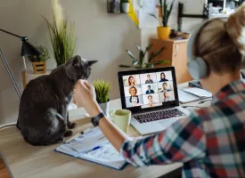 Thuiswerk vacatures Maastricht