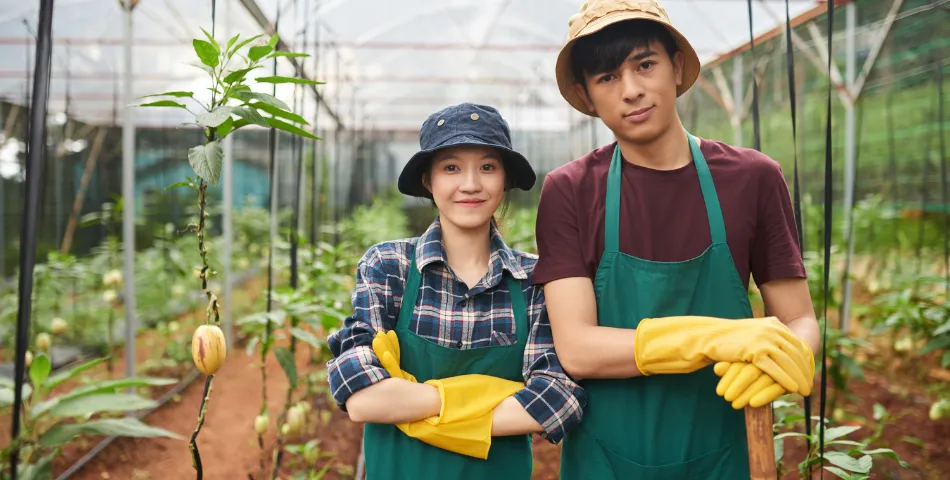 Bijbaan in Zuid-Limburg