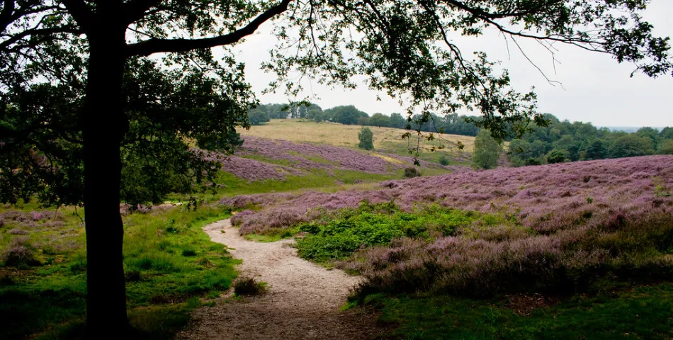 Vacatures in Mook en Middelaar